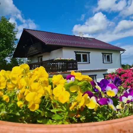 Ferienwohnung Eva Grebenhain المظهر الخارجي الصورة