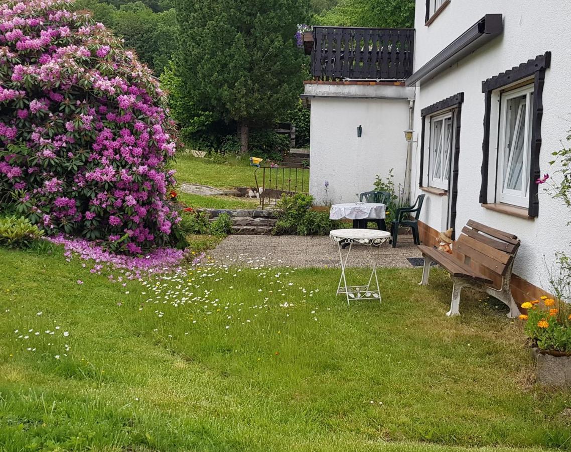 Ferienwohnung Eva Grebenhain المظهر الخارجي الصورة