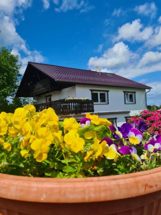 Ferienwohnung Eva Grebenhain المظهر الخارجي الصورة