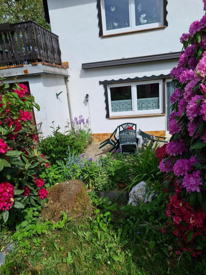 Ferienwohnung Eva Grebenhain المظهر الخارجي الصورة